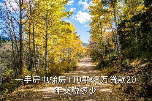 一手房電梯房110平63萬(wàn)貸款20年交稅多少