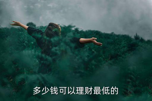 搞金融最低多少錢，理財最少要多少錢啊