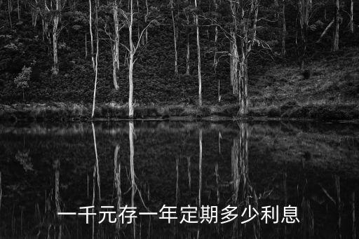 一千元存一年定期多少利息