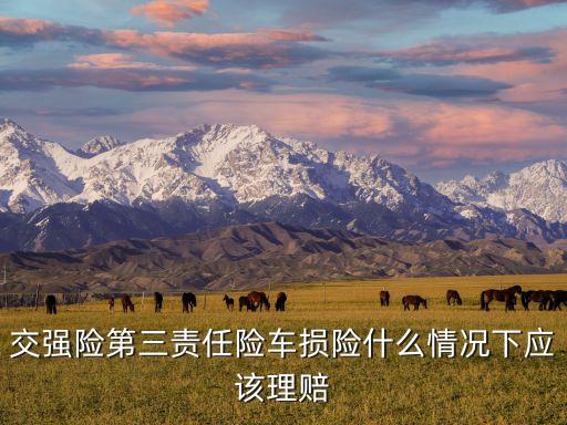 交強險第三責任險車損險什么情況下應(yīng)該理賠