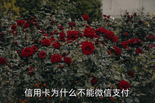信用卡為什么不能微信支付