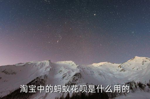 淘寶中的螞蟻花唄是什么用的