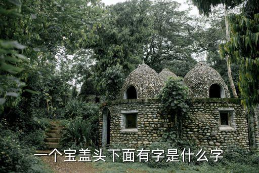 一個寶蓋頭下面有字是什么字