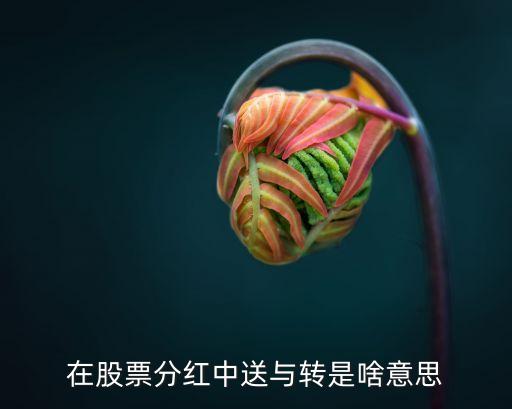股票送和轉(zhuǎn)什么意思啊，股票中的派送轉(zhuǎn)分別是什么意思啊