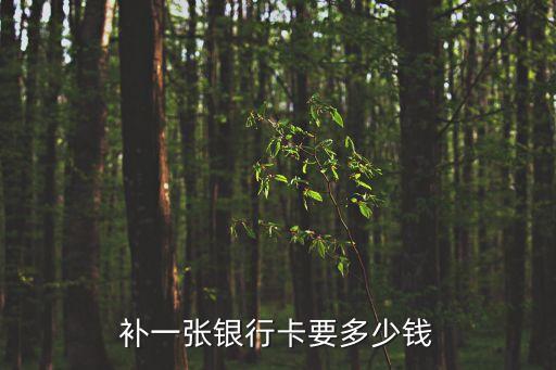 補(bǔ)一張銀行卡要多少錢