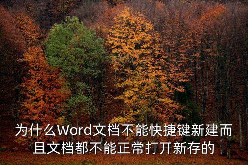 為什么Word文檔不能快捷鍵新建而且文檔都不能正常打開新存的