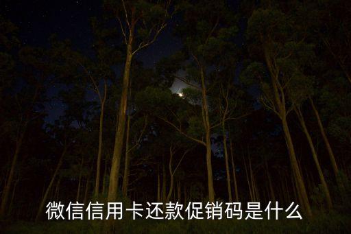 信用卡活動(dòng)碼是什么意思是什么意思，網(wǎng)申交行信用卡的時(shí)候要求填寫(xiě)客戶經(jīng)理活動(dòng)營(yíng)銷碼銀行建議我填