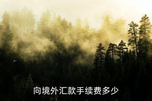 向境外匯款手續(xù)費(fèi)多少