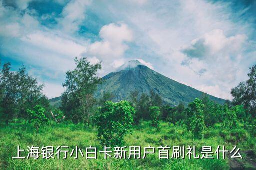 上海銀行小白卡新用戶首刷禮是什么