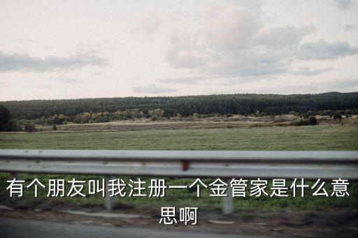 有個朋友叫我注冊一個金管家是什么意思啊
