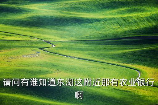 請(qǐng)問(wèn)有誰(shuí)知道東湖這附近那有農(nóng)業(yè)銀行啊