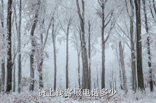 捷創(chuàng)貸電話是多少錢，貸上錢客服電話多少