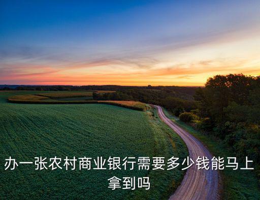辦一張農(nóng)村商業(yè)銀行需要多少錢(qián)能馬上拿到嗎