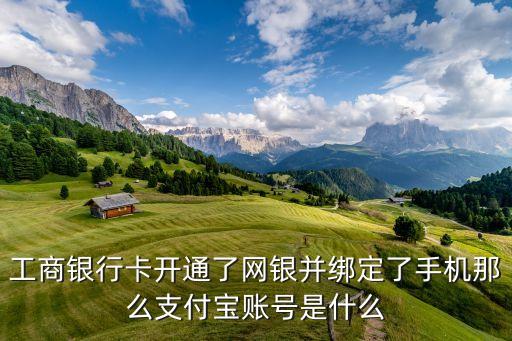 支付寶 工商銀行 賬號(hào)是什么東西，工商銀行卡開通了網(wǎng)銀并綁定了手機(jī)那么支付寶賬號(hào)是什么