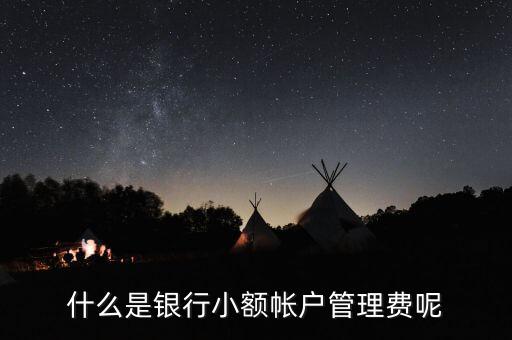 什么是銀行小額帳戶管理費(fèi)呢