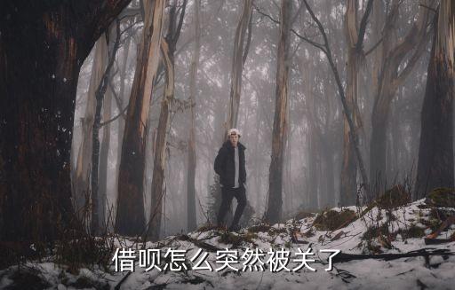 借唄怎么突然被關了