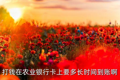 打錢(qián)在農(nóng)業(yè)銀行卡上要多長(zhǎng)時(shí)間到賬啊