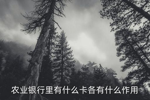 農(nóng)業(yè)銀行有什么卡，農(nóng)業(yè)銀行卡都分什么卡