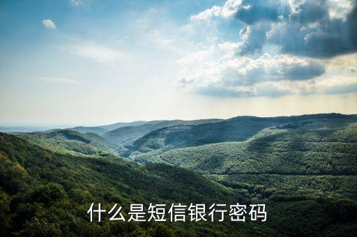 什么是短信銀行密碼