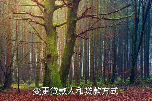 變更貸款人和貸款方式