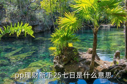pp理財(cái)新手25七日是什么意思