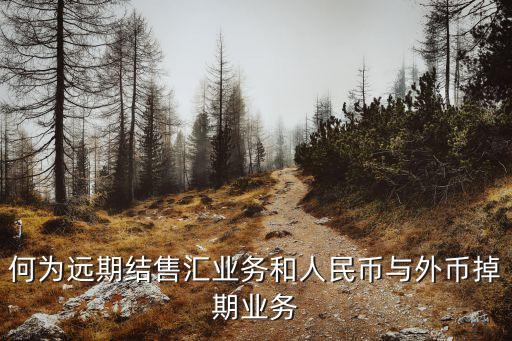 什么是遠(yuǎn)期售匯業(yè)務(wù)，銀行是怎么在遠(yuǎn)期結(jié)匯業(yè)務(wù)中賺錢的