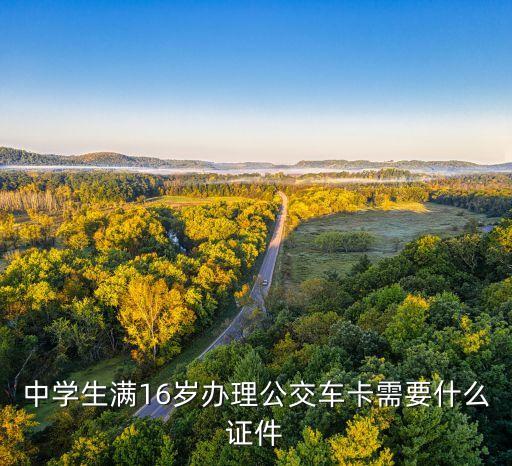 中學生滿16歲辦理公交車卡需要什么證件