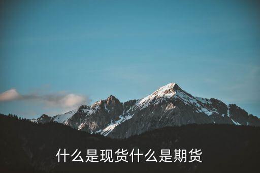 什么是期貨什么是現貨，什么是現貨什么是期貨