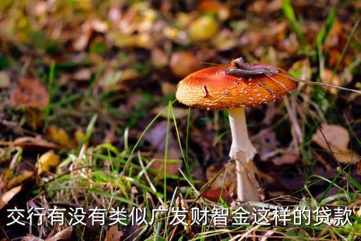 交行有什么貸款，交行有沒有類似廣發(fā)財智金這樣的貸款