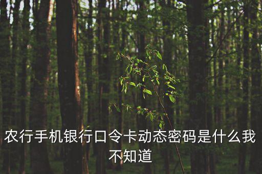農(nóng)行手機銀行口令卡動態(tài)密碼是什么我不知道