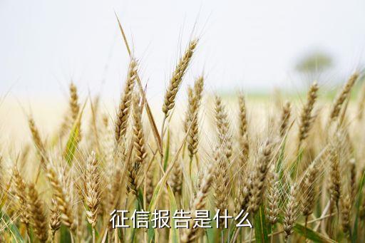 征信報告是指什么意思，征信報告是什么