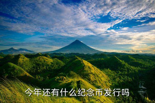 還有什么紀(jì)念幣，今年還有什么紀(jì)念幣發(fā)行嗎