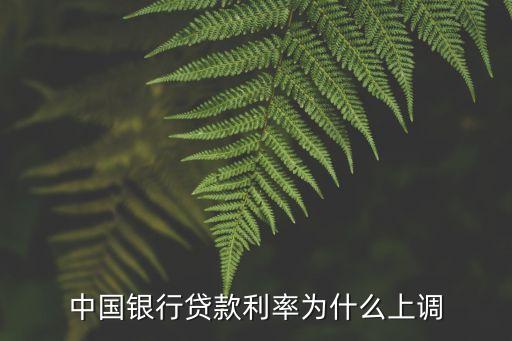 為什么貸款 利率每年調(diào)，中國銀行貸款利率為什么上調(diào)