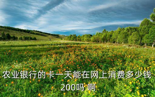 農(nóng)業(yè)銀行的卡一天能在網(wǎng)上消費(fèi)多少錢 200嗎 啊
