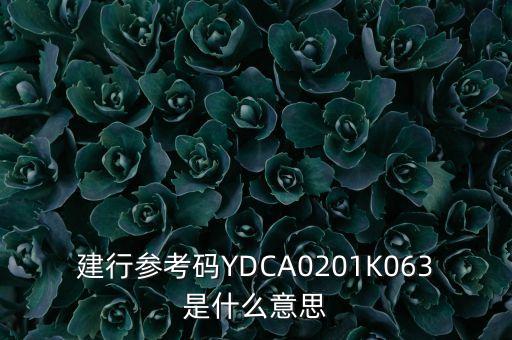 建行參考碼YDCA0201K063是什么意思