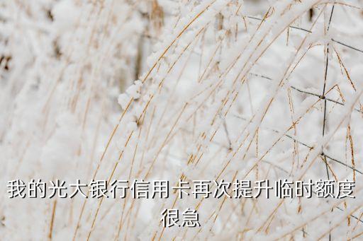 我的光大銀行信用卡再次提升臨時(shí)額度很急