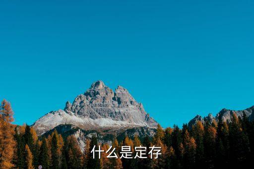 什么是定存
