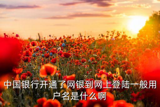 中國(guó)銀行開(kāi)通了網(wǎng)銀到網(wǎng)上登陸一般用戶名是什么啊