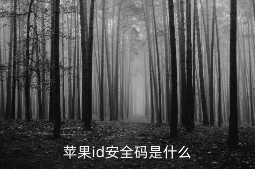 蘋果錢包安全碼要填什么地方，iPhone4 創(chuàng)建apple id 里面的支付卡號(hào) 和安全碼 怎么填