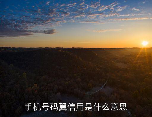 手機(jī)號(hào)碼翼信用是什么意思