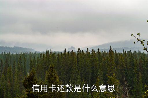 信用卡總還款什么意思是什么意思，信用卡還款是什么意思