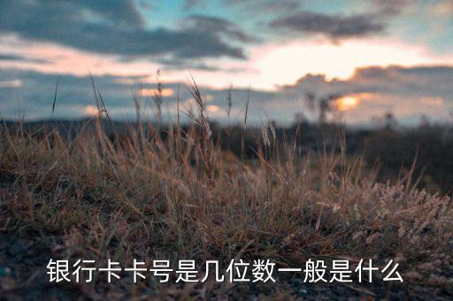 銀行卡卡號是幾位數(shù)一般是什么