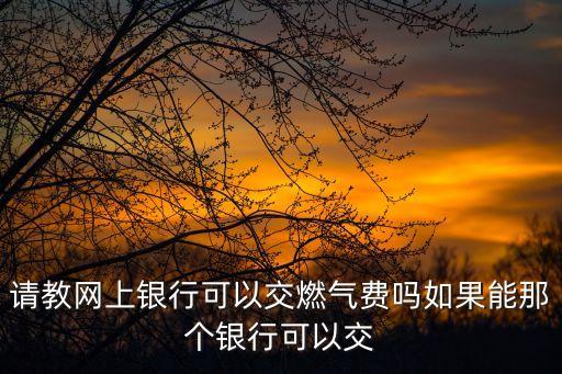 請教網(wǎng)上銀行可以交燃氣費嗎如果能那個銀行可以交