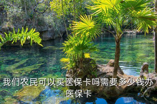 農(nóng)村辦社?？ǘ嗌馘X，請(qǐng)問農(nóng)村購買養(yǎng)老保險(xiǎn)辦一張卡是否需要50元錢