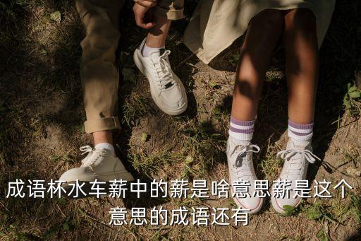 薪益的意思是什么意思是什么意思是什么，成語杯水車薪中的薪是啥意思薪是這個意思的成語還有