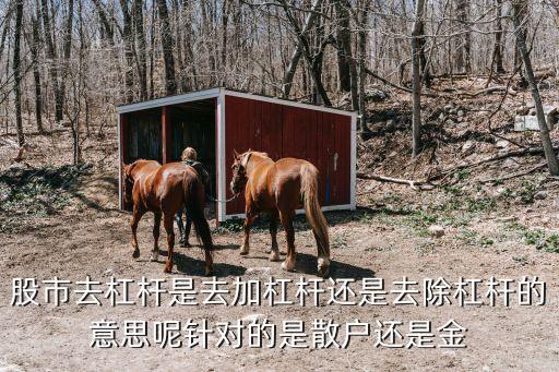 股市降杠桿是什么意思，股市中的去杠桿是什么意思