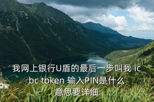 農(nóng)行pin是什么意思，淘寶網(wǎng)上網(wǎng)上銀行支付輸入PIN什么意思