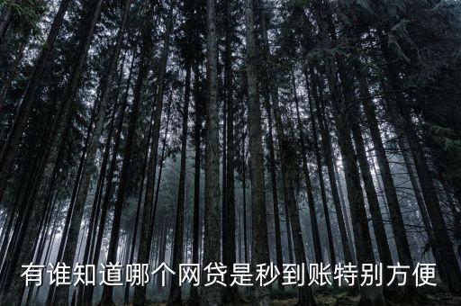 什么網(wǎng)貸是秒到賬，提現(xiàn)T0到賬的網(wǎng)貸平臺有哪些不受周末節(jié)假日影響的平臺  搜