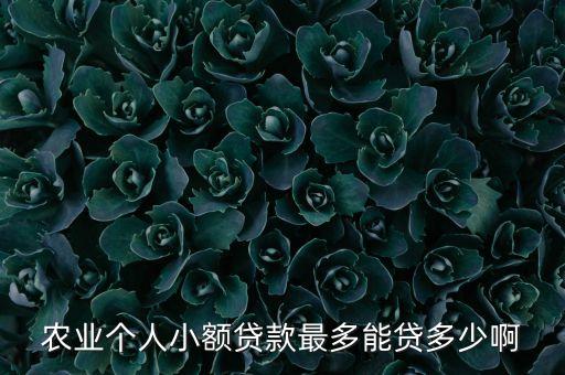 農(nóng)業(yè)個(gè)人小額貸款最多能貸多少啊