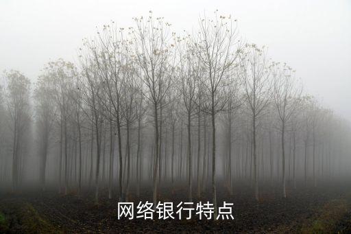 網(wǎng)絡(luò)銀行的特征是什么，網(wǎng)上銀行的特點(diǎn)